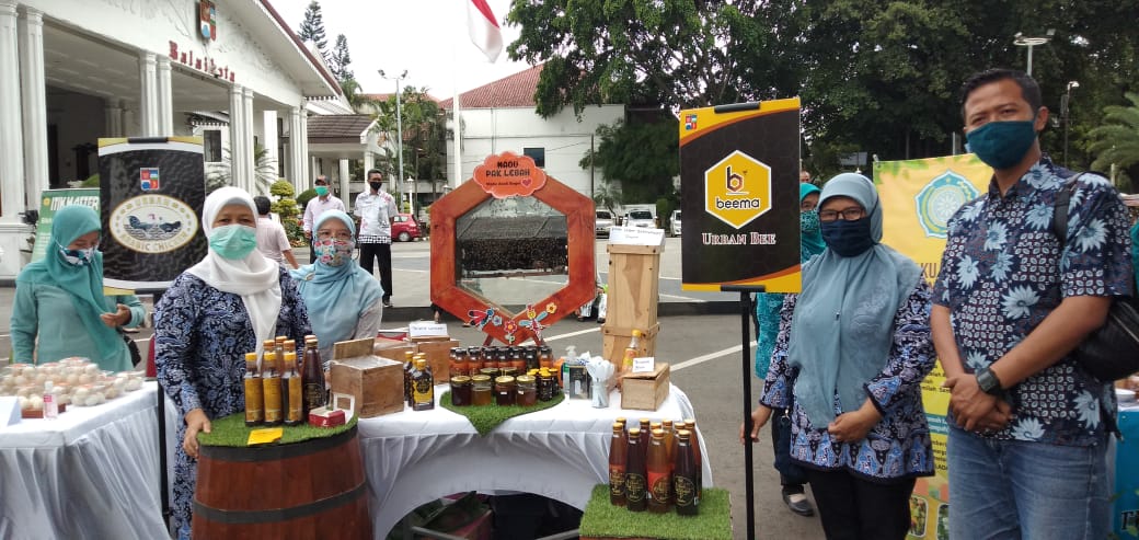 Urban Bee Hibah Pariwisata Lebah Kota Bogor