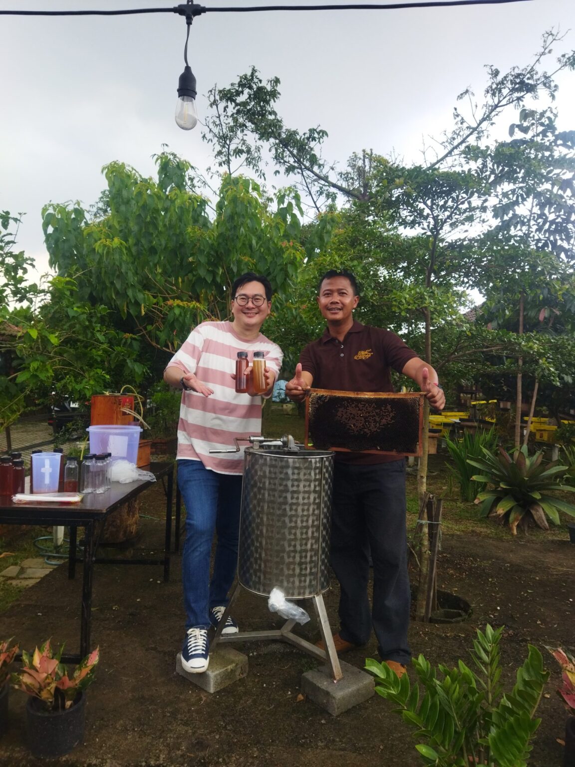 Mengintip kehidupan lebah di Peternakan Madu Pak Lebah